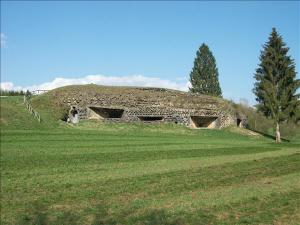 bunker preone