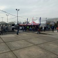fiandre2
